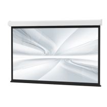 79870 Da-Lite Model C with CSR Projection Screen 10' x 10'- Matte White