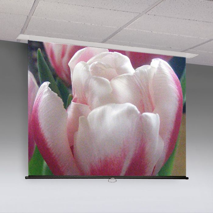 Access M Manual Projection Screen - 16:10 Wide Format-87 1/2"H x 140"W-Matte White XT1000E
