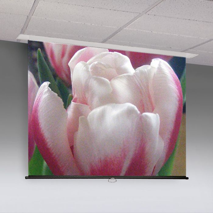 Access M Manual Projection Screen - 16:9 HDTV Format-79"H x 140"W-Matte White XT1000E