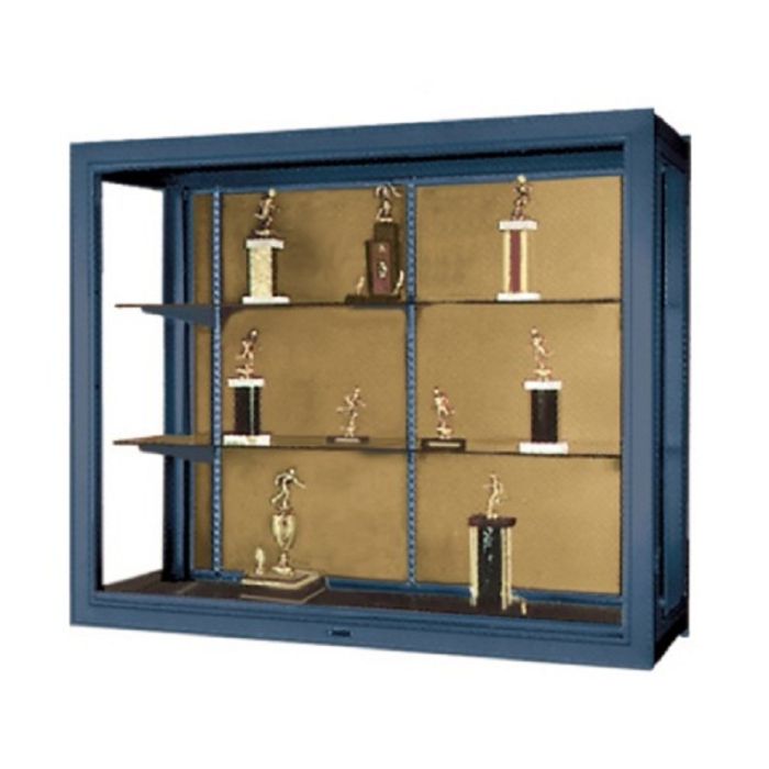 479 Premiere Wall Mounted Display Case