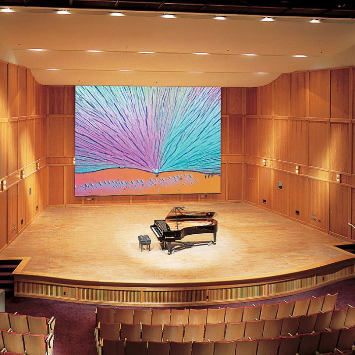 Paragon E Electric Projection Screen - 248"H x 332"W